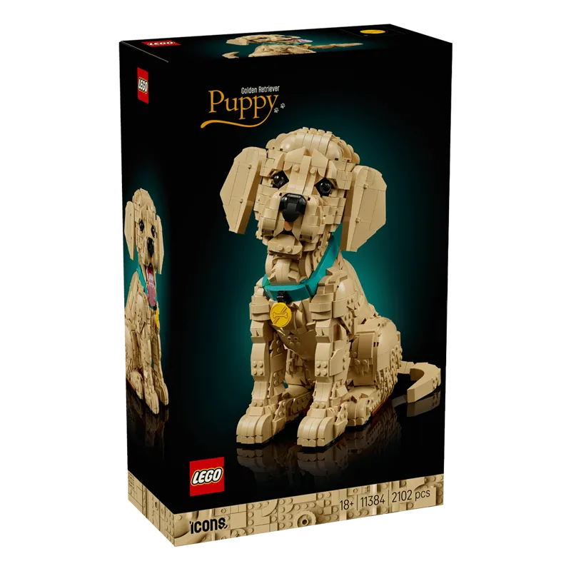 LEGO® Icons Auksaspalvių retriverių šuniukas
