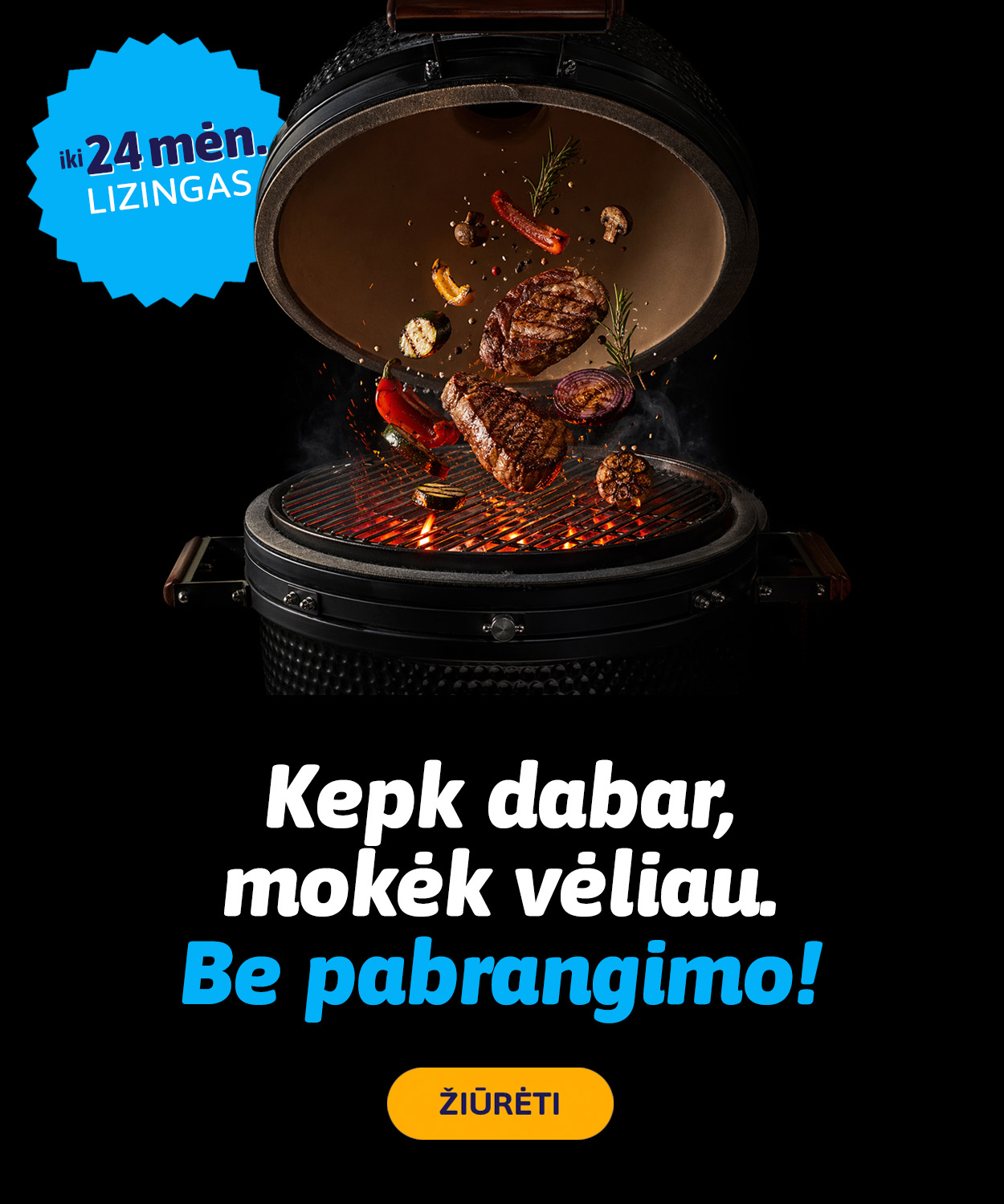 Kamado kepsninės internetu pigiau. Net 24 mėn. lizingas be pabrangimo.