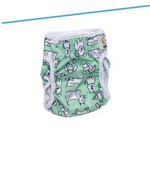 Sauskelnės ir palutės