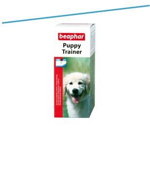 Pratinimo priemonės