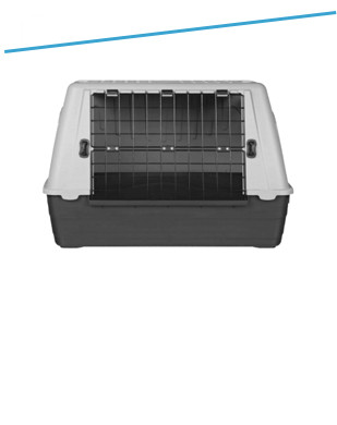 Transportavimo priemonės katėms