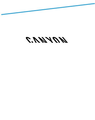 Canyon Video reģistratori