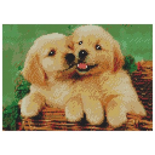 Daimond Mozaika - 47326 - 2 PUPPIES - dydis 30x40 cm