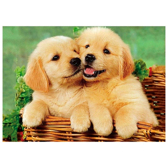 Daimond Mozaika - 47326 - 2 PUPPIES - dydis 30x40 cm