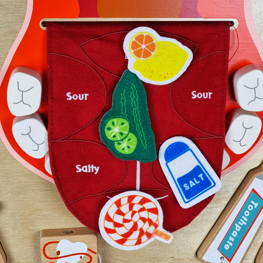 MASTERKIDZ suuhügieeni Flex Montessori sensoorne seinatahvel