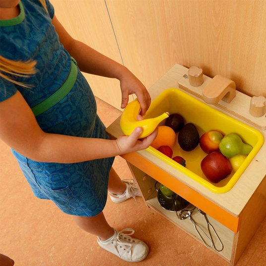 MASTERKIDZ Realistlik puuviljaköögi komplekt 10 tükki