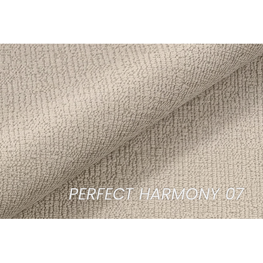 GESPANO side A / right side (BL-A+2SF+OT2P+N-A) / Perfect Harmony 07