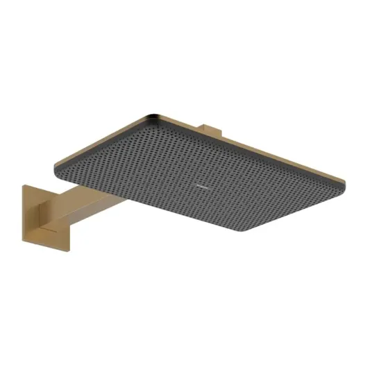 Hansgrohe Raindance Alive Q – dušo galvutė, 21x34 cm, 2 srovių tipai, EcoSmart, šlifuotas bronzos spalvos 24551140