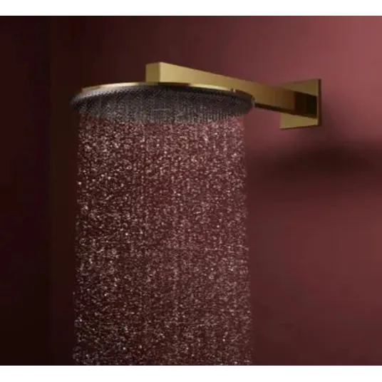 Hansgrohe Raindance Alive S – galvos dušas, skersmuo 30 cm, EcoSmart, poliruotas auksinis paviršius 24521990