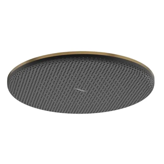 Hansgrohe Raindance Alive S – dušo galvutė, skersmuo 30 cm, EcoSmart, šlifuotas bronzos spalvos 24521140