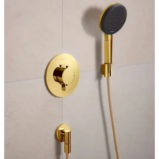 Hansgrohe Ecostat Comfort S – į sieną įmontuojamas dušo maišytuvas, su termostatu, poliruotas auksinis 33714990