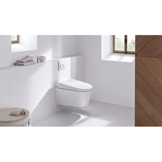 Geberit Omega20 - Valdymo plokštelė OMEGA20, balta / poliruotas chromas 115.085.KJ.1