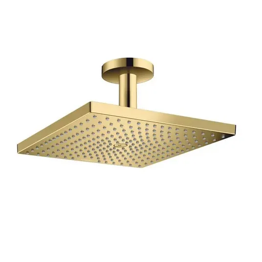 Hansgrohe Raindance E – dušo galvutė E 300, 1jet, poliruotas auksas 26250990