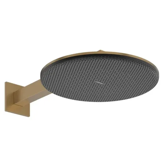 Hansgrohe Raindance Alive S – dušo galvutė, skersmuo 30 cm, 2 srovių tipai, EcoSmart, šlifuotas bronzos spalvos 24541140