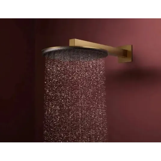 Hansgrohe Raindance Alive S – dušo galvutė, skersmuo 30 cm, 2 srovių tipai, EcoSmart, šlifuotas bronzos spalvos 24541140