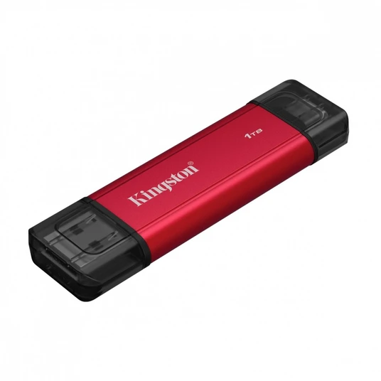 Kingston SSD DualPortable 1TB