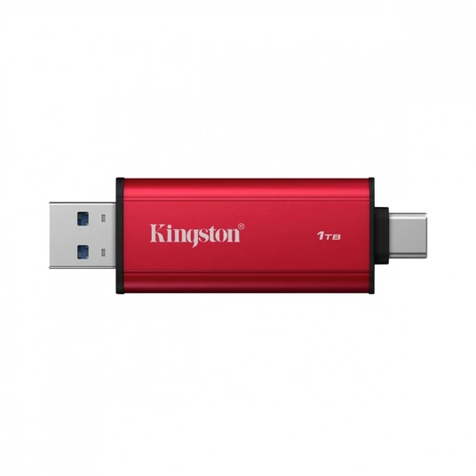 Kingston SSD DualPortable 1TB