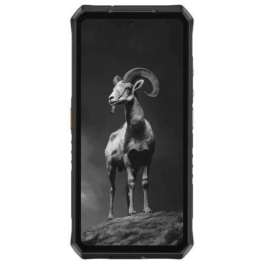 Telefonas Ulefone Armor 28 Pro 5G 16GB/512GB Black