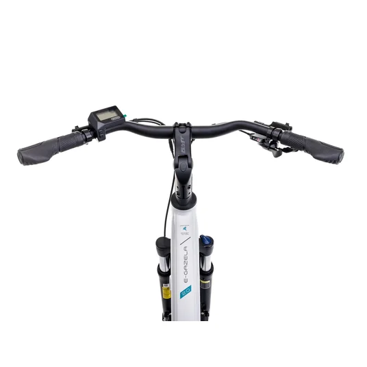 Elektriline jalgratas Romet e-Gazela 2.0 504WH 2025 hõbedane-19" / L
