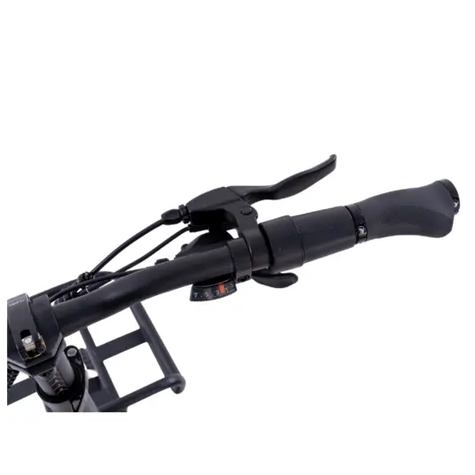 Elektrinis dviratis RIDE-E X16 20" 500W Black