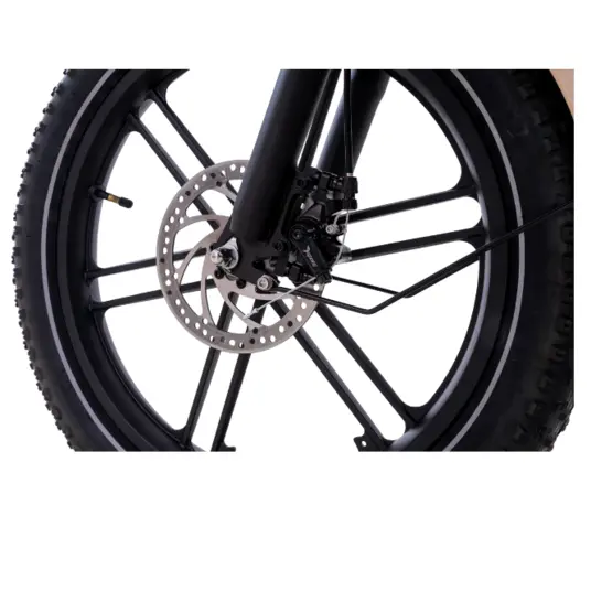 Elektrinis dviratis RIDE-E X16 20" 500W Black