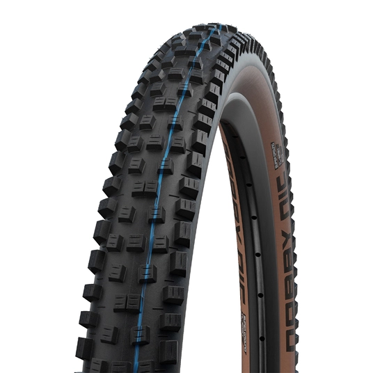 Padanga Schwalbe Smart Sam Performance Addix 29