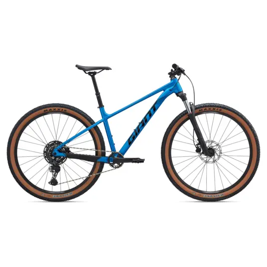 GIANT Roam 2 Bicycle, Black (L) - TECHNORAMA