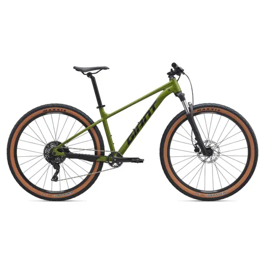 GIANT Roam 2 Bicycle, Black (L) - TECHNORAMA