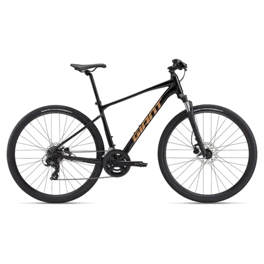 GIANT Roam 2 Bicycle, Black (L) - TECHNORAMA