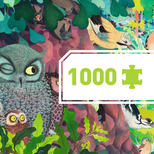 Djeco Dėlionė - Pelėdos ir paukščiai (1000 detalių) DJ07644