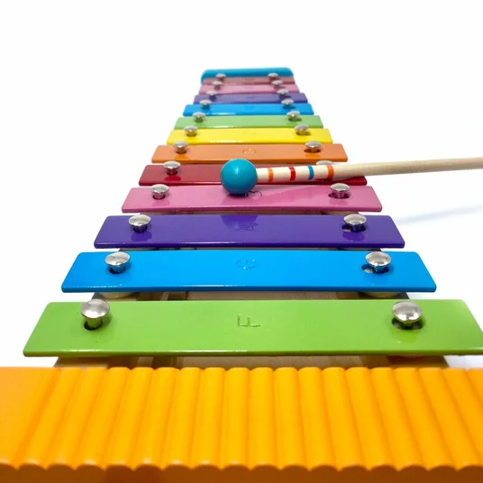 Svoora Muzikinis instrumentas - Metalofonas su guiro (12 natų)
