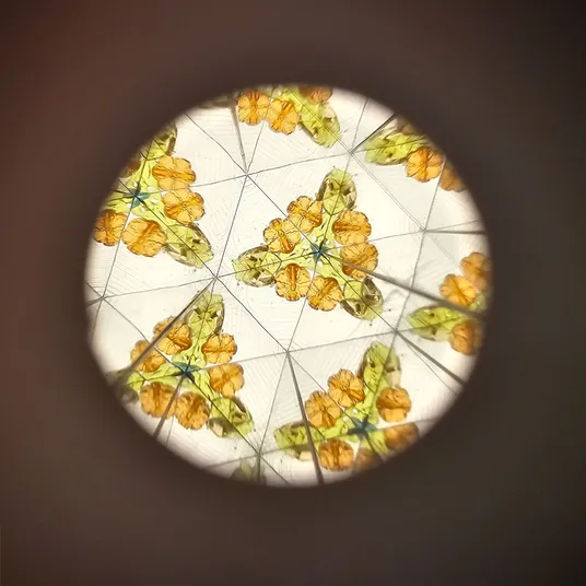 Little Dutch kaleidoskopas Forest Friends