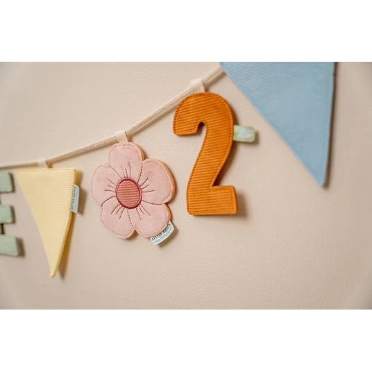 Little Dutch raidė L