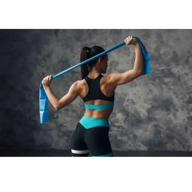 Sportvida Fitness & GYM Rubber training