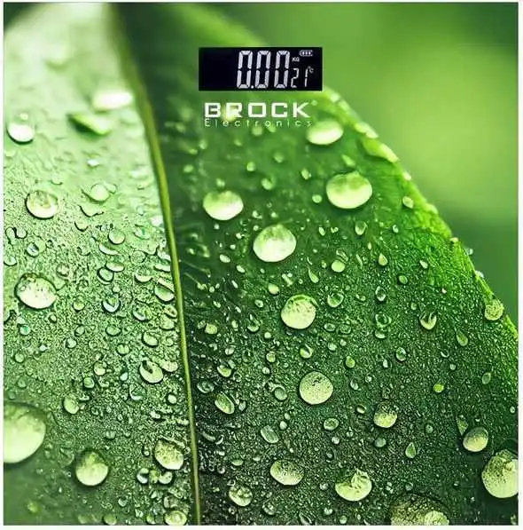 Brock BS 003