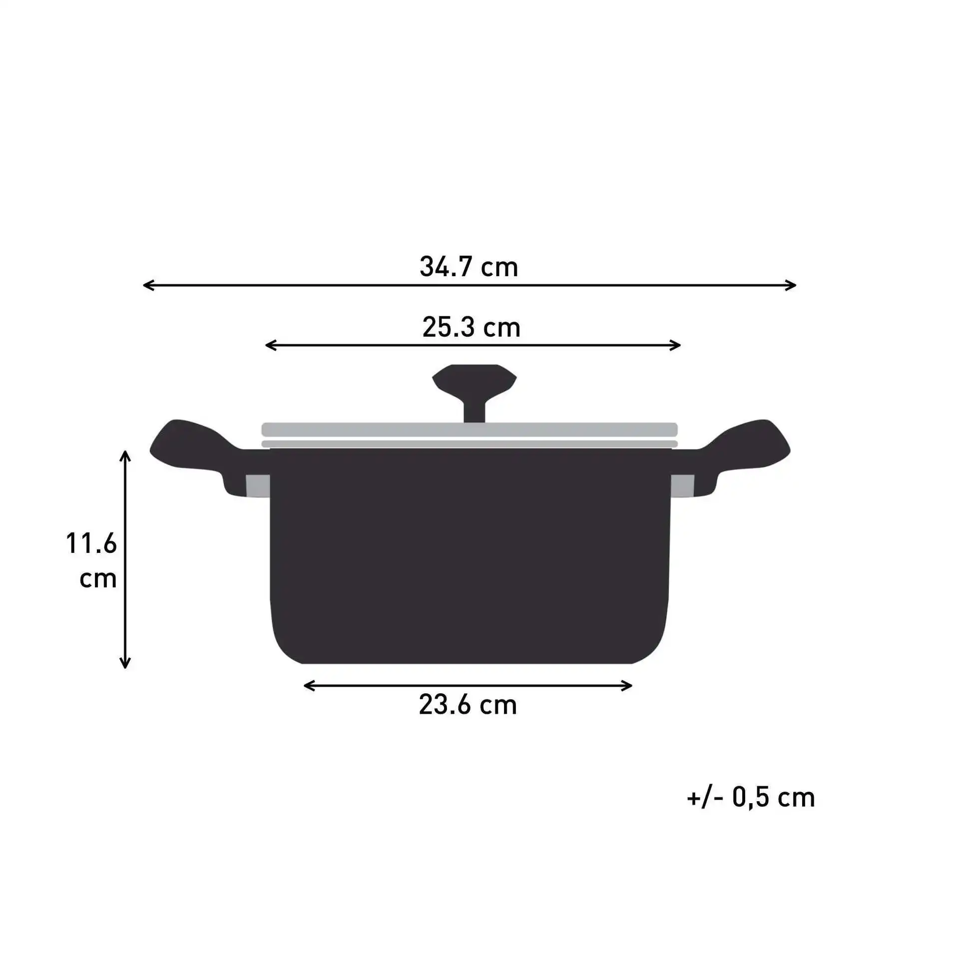 Tefal Nordica Stainless Steel Casserole /
