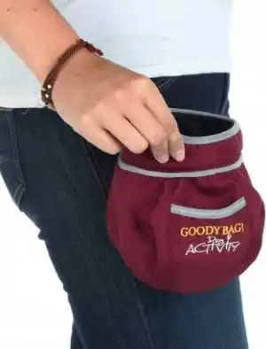 Trixie Dog Activity Treat Bag 11