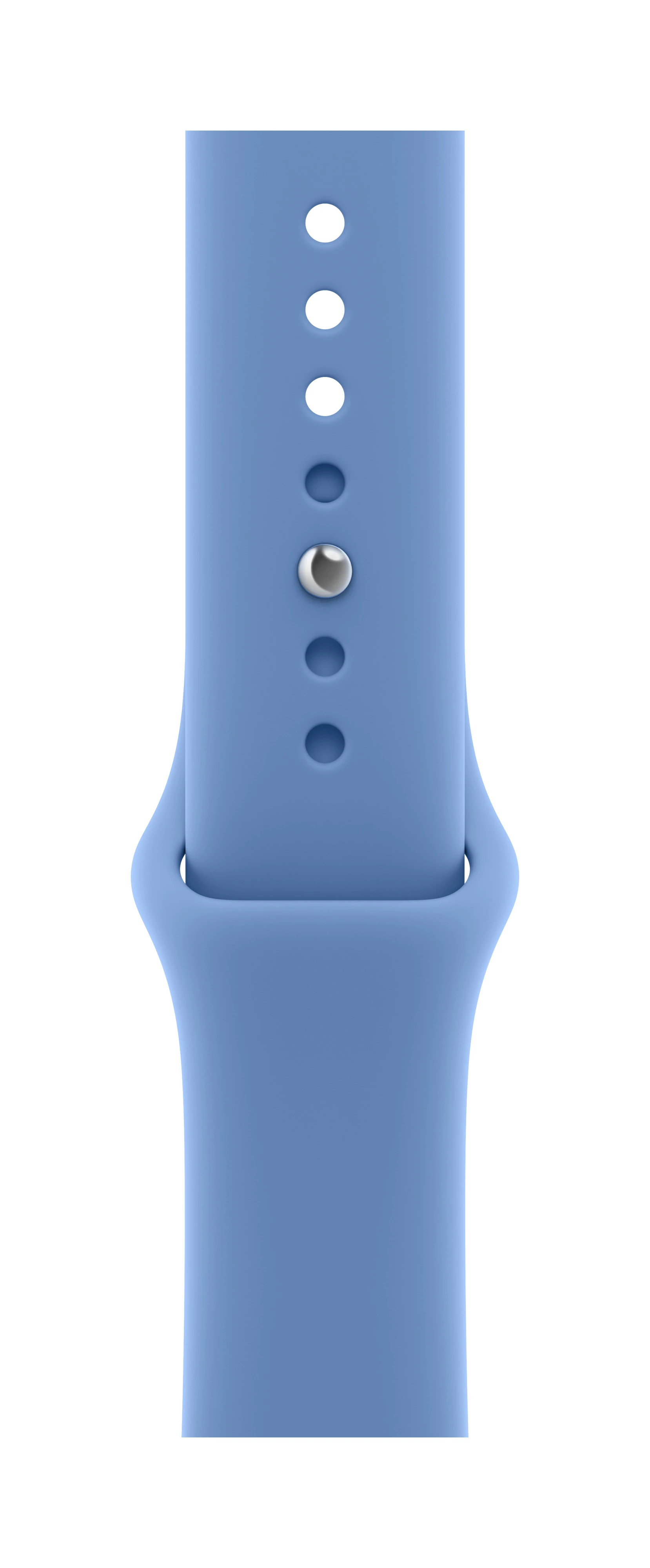 Apple 46mm Wildflower Blue Sport Band