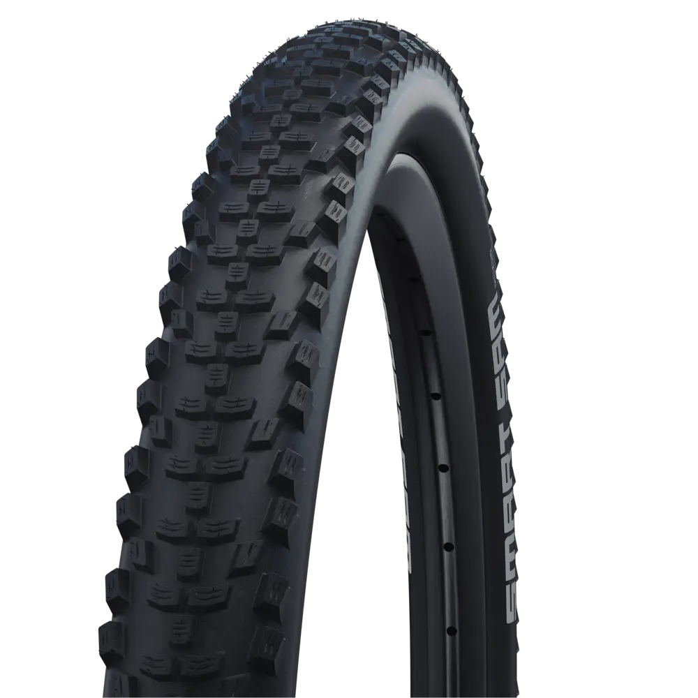 "Riepa" 18" "Schwalbe Smart