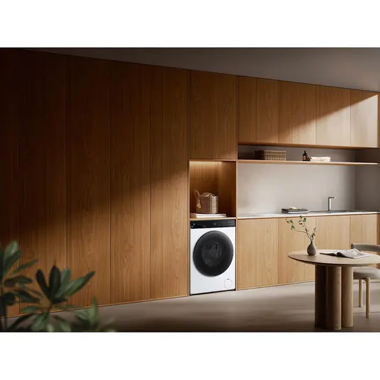Skalbyklė - džiovyklė Xiaomi Mijia QMP4656EU