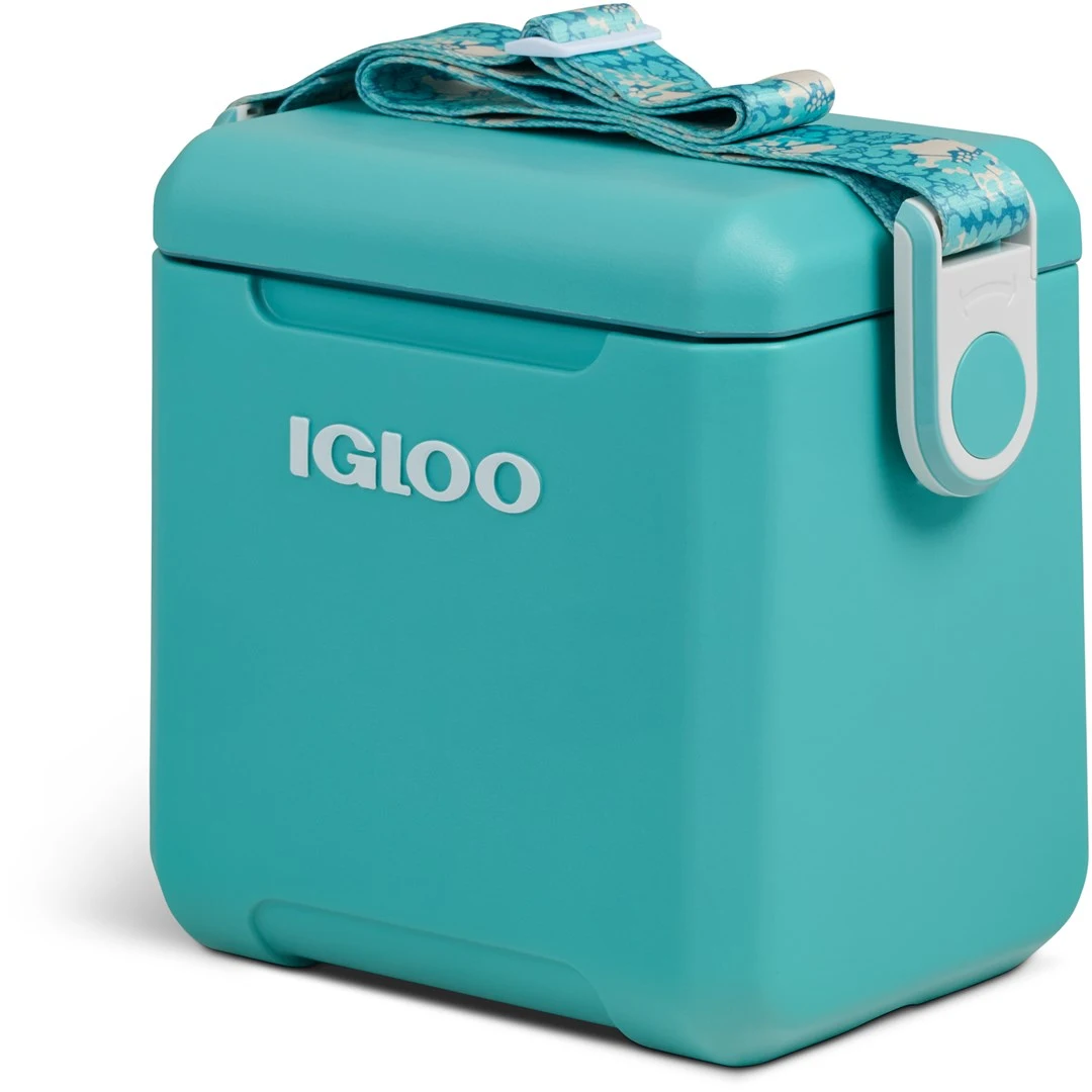 Ledusskapis "IGLOO Tag Along Too